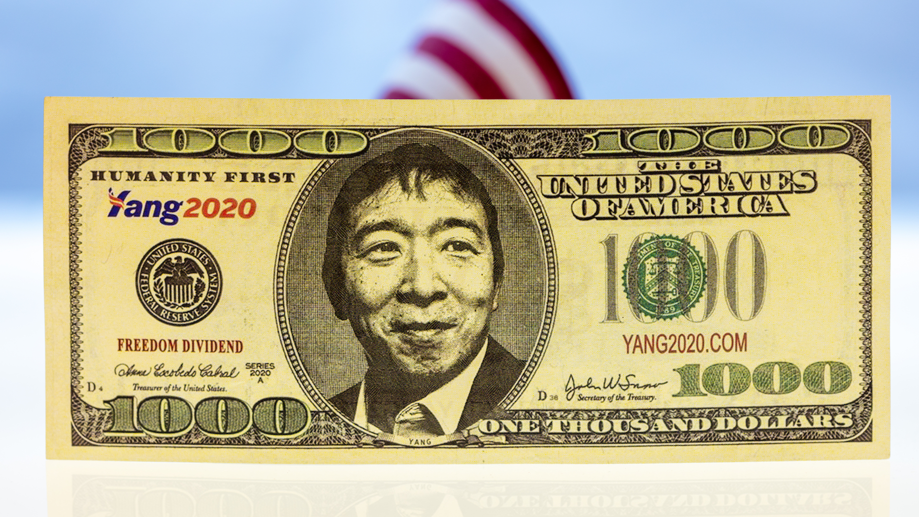 A presidential campaign sign for Andrew Yang touts his signature policy: Universal Basic Income.